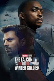 The Falcon and the Winter Soldier